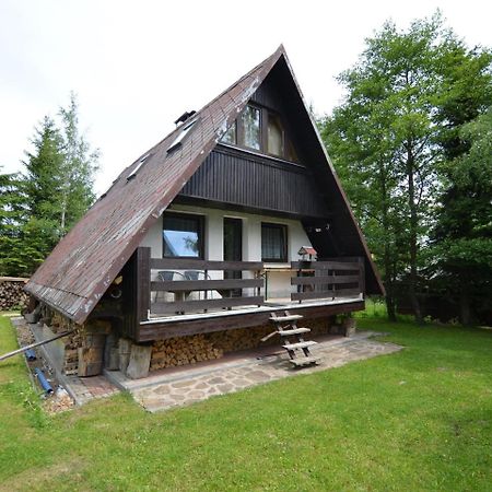 Nice Holiday Home In The Ore Mountains Only 500M From The Chairlift Loučná pod Klínovcem Bagian luar foto