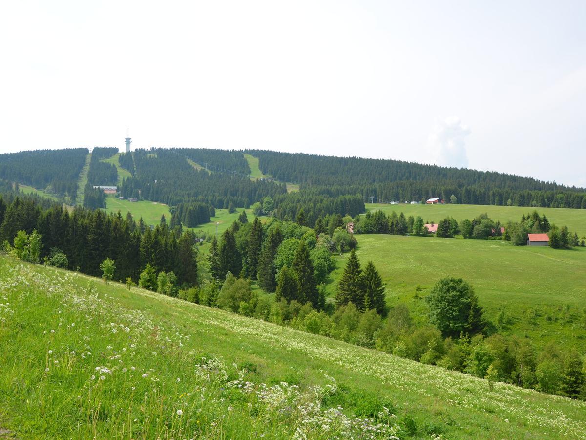 Nice Holiday Home In The Ore Mountains Only 500M From The Chairlift Loučná pod Klínovcem Bagian luar foto